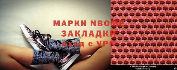 PSILOCYBIN Инсар
