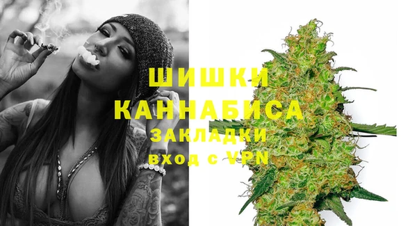 PSILOCYBIN Инсар