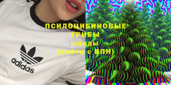 MDMA Premium VHQ Инта