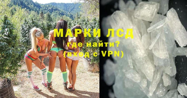 шишки Тында