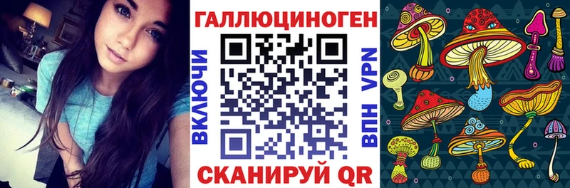 Галлюциногенные грибы Psilocybe  Далматово 